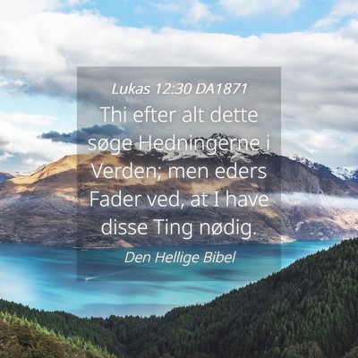 Picture 04 - Lukas 12:30 DA1871 - Thi efter alt dette søge Hedningerne i Verden; - Bible Verse Picture