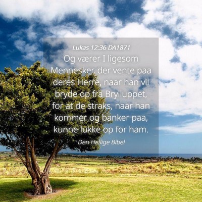 Picture 04 - Lukas 12:36 DA1871 - Og værer I ligesom Mennesker, der vente paa - Bible Verse Picture