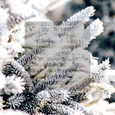 Picture 04 - Lukas 13:14 DA1871 - Men Synagogeforstanderen, som var vred, fordi - Bible Verse Picture
