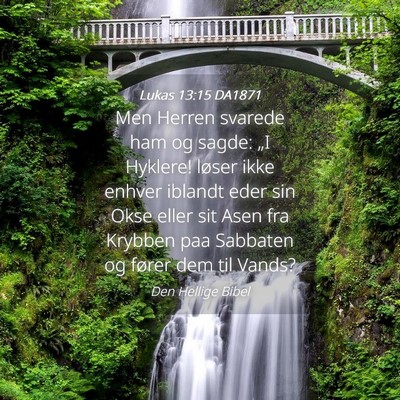 Picture 04 - Lukas 13:15 DA1871 - Men Herren svarede ham og sagde: „I Hyklere! - Bible Verse Picture