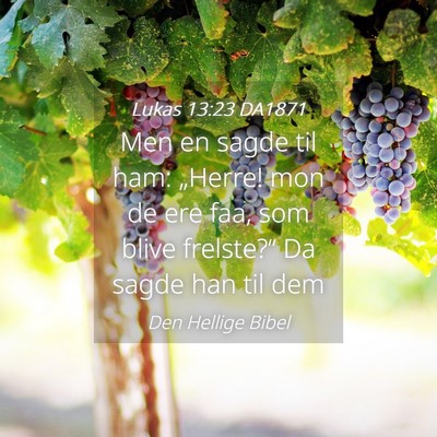 Picture 04 - Lukas 13:23 DA1871 - Men en sagde til ham: „Herre! mon de ere faa, - Bible Verse Picture