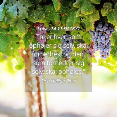 Picture 04 - Lukas 14:11 DA1871 - Thi enhver, som ophøjer sig selv, skal - Bible Verse Picture