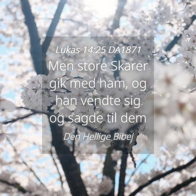 Picture 04 - Lukas 14:25 DA1871 - Men store Skarer gik med ham, og han vendte sig - Bible Verse Picture