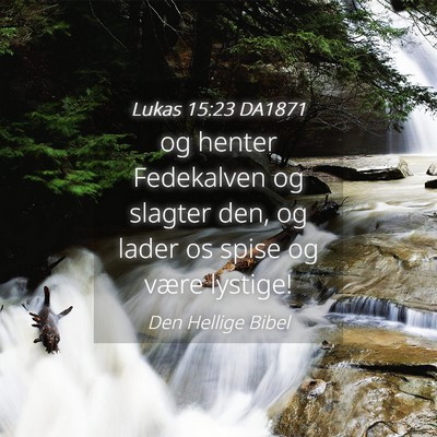 Picture 04 - Lukas 15:23 DA1871 - og henter Fedekalven og slagter den, og lader os - Bible Verse Picture
