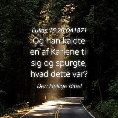 Picture 04 - Lukas 15:26 DA1871 - Og han kaldte en af Karlene til sig og spurgte, - Bible Verse Picture