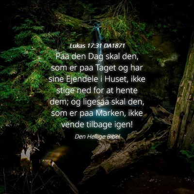 Picture 04 - Lukas 17:31 DA1871 - Paa den Dag skal den, som er paa Taget og har - Bible Verse Picture