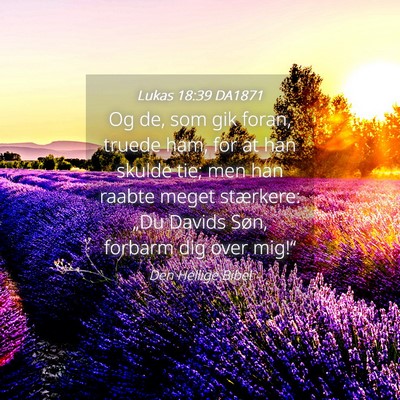 Picture 04 - Lukas 18:39 DA1871 - Og de, som gik foran, truede ham, for at han - Bible Verse Picture