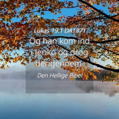 Picture 04 - Lukas 19:1 DA1871 - Og han kom ind i Jeriko og drog - Bible Verse Picture