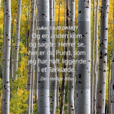 Picture 04 - Lukas 19:20 DA1871 - Og en anden kom og sagde: Herre! se, her er dit - Bible Verse Picture