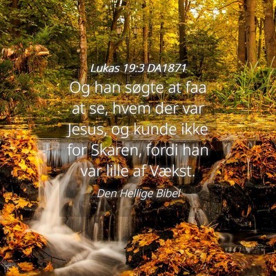 Picture 04 - Lukas 19:3 DA1871 - Og han søgte at faa at se, hvem der var Jesus, - Bible Verse Picture