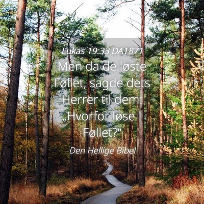 Picture 04 - Lukas 19:33 DA1871 - Men da de løste Føllet, sagde dets Herrer til - Bible Verse Picture