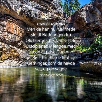Picture 04 - Lukas 19:37 DA1871 - Men da han nu nærmede sig til Nedgangen fra - Bible Verse Picture