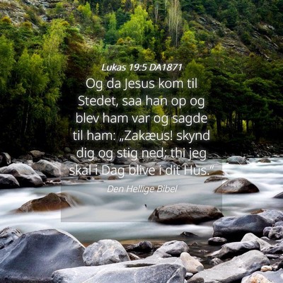 Picture 04 - Lukas 19:5 DA1871 - Og da Jesus kom til Stedet, saa han op og blev - Bible Verse Picture