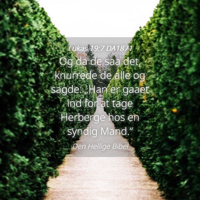 Picture 04 - Lukas 19:7 DA1871 - Og da de saa det, knurrede de alle og sagde: - Bible Verse Picture