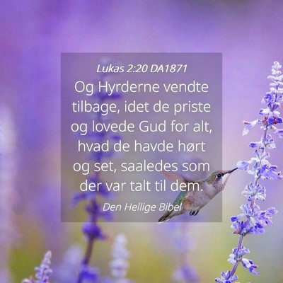 Picture 04 - Lukas 2:20 DA1871 - Og Hyrderne vendte tilbage, idet de priste og - Bible Verse Picture