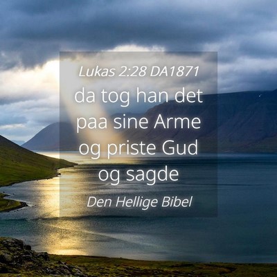 Picture 04 - Lukas 2:28 DA1871 - da tog han det paa sine Arme og priste Gud og - Bible Verse Picture