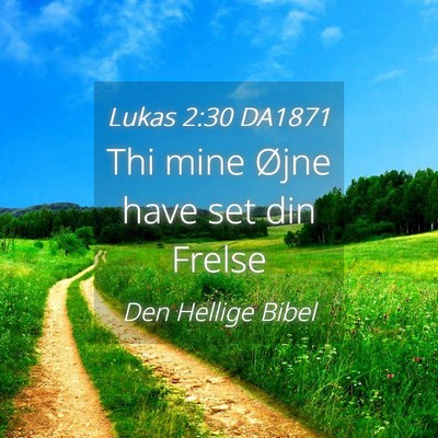 Picture 04 - Lukas 2:30 DA1871 - Thi mine Øjne have set din - Bible Verse Picture