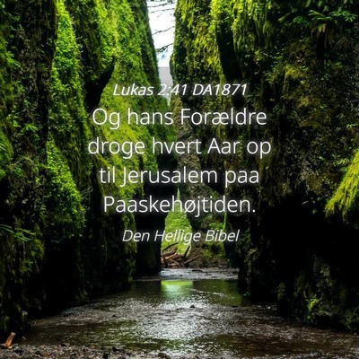 Picture 04 - Lukas 2:41 DA1871 - Og hans Forældre droge hvert Aar op til - Bible Verse Picture
