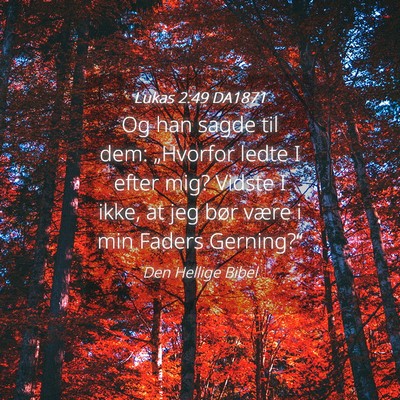 Picture 04 - Lukas 2:49 DA1871 - Og han sagde til dem: „Hvorfor ledte I efter - Bible Verse Picture