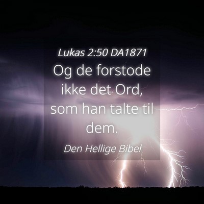 Picture 04 - Lukas 2:50 DA1871 - Og de forstode ikke det Ord, som han talte til - Bible Verse Picture