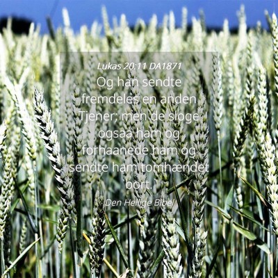 Picture 04 - Lukas 20:11 DA1871 - Og han sendte fremdeles en anden Tjener; men de - Bible Verse Picture