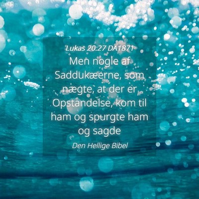Picture 04 - Lukas 20:27 DA1871 - Men nogle af Saddukæerne, som nægte, at der er - Bible Verse Picture