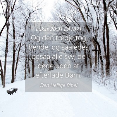 Picture 04 - Lukas 20:31 DA1871 - Og den tredje tog hende, og saaledes ogsaa alle - Bible Verse Picture