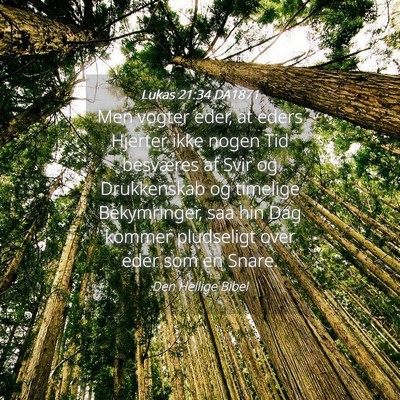 Picture 04 - Lukas 21:34 DA1871 - Men vogter eder, at eders Hjerter ikke nogen Tid - Bible Verse Picture
