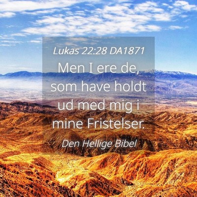 Picture 04 - Lukas 22:28 DA1871 - Men I ere de, som have holdt ud med mig i mine - Bible Verse Picture