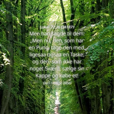 Picture 04 - Lukas 22:36 DA1871 - Men han sagde til dem: „Men nu, den, som har en - Bible Verse Picture
