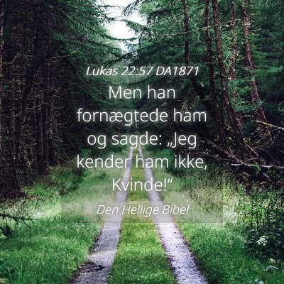 Picture 04 - Lukas 22:57 DA1871 - Men han fornægtede ham og sagde: „Jeg kender - Bible Verse Picture