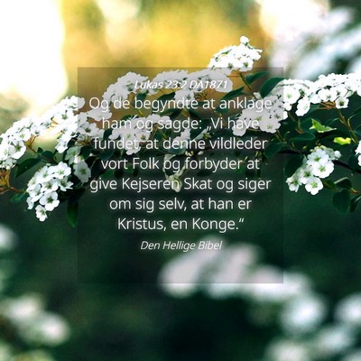 Picture 04 - Lukas 23:2 DA1871 - Og de begyndte at anklage ham og sagde: „Vi - Bible Verse Picture