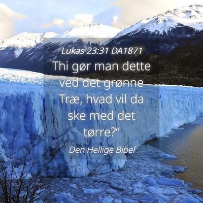Picture 04 - Lukas 23:31 DA1871 - Thi gør man dette ved det grønne Træ, hvad vil - Bible Verse Picture