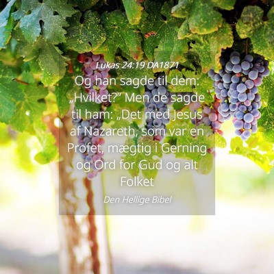 Picture 04 - Lukas 24:19 DA1871 - Og han sagde til dem: „Hvilket?“ Men de sagde - Bible Verse Picture