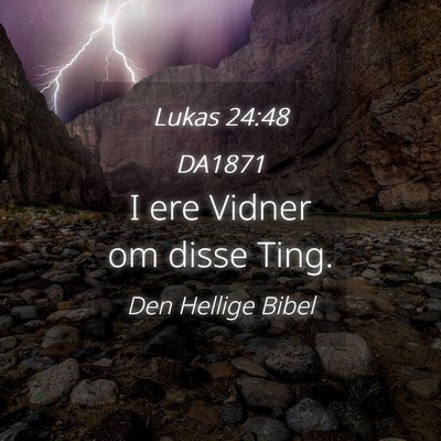 Picture 04 - Lukas 24:48 DA1871 - I ere Vidner om disse - Bible Verse Picture