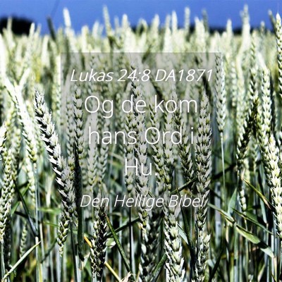 Picture 04 - Lukas 24:8 DA1871 - Og de kom hans Ord i - Bible Verse Picture