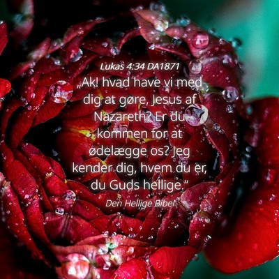 Picture 04 - Lukas 4:34 DA1871 - „Ak! hvad have vi med dig at gøre, Jesus af - Bible Verse Picture