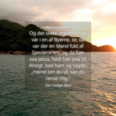 Picture 04 - Lukas 5:12 DA1871 - Og det skete, medens han var i en af Byerne, se, - Bible Verse Picture