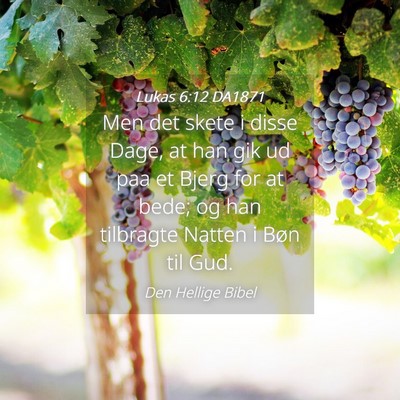 Picture 04 - Lukas 6:12 DA1871 - Men det skete i disse Dage, at han gik ud paa et - Bible Verse Picture