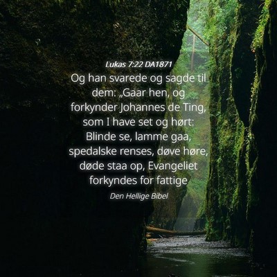 Picture 04 - Lukas 7:22 DA1871 - Og han svarede og sagde til dem: „Gaar hen, og - Bible Verse Picture