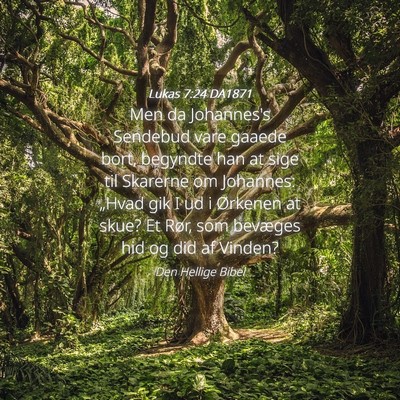 Picture 04 - Lukas 7:24 DA1871 - Men da Johannes's Sendebud vare gaaede bort, - Bible Verse Picture