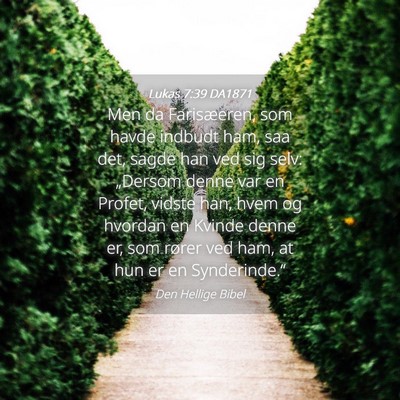 Picture 04 - Lukas 7:39 DA1871 - Men da Farisæeren, som havde indbudt ham, saa - Bible Verse Picture
