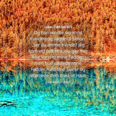 Picture 04 - Lukas 7:44 DA1871 - Og han vendte sig imod Kvinden og sagde til - Bible Verse Picture