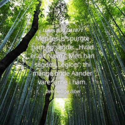 Picture 04 - Lukas 8:30 DA1871 - Men Jesus spurgte ham og sagde: „Hvad er dit - Bible Verse Picture