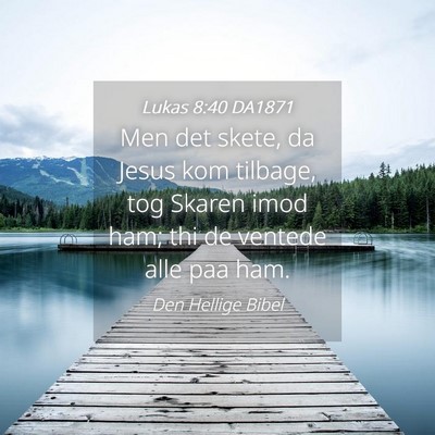 Picture 04 - Lukas 8:40 DA1871 - Men det skete, da Jesus kom tilbage, tog Skaren - Bible Verse Picture