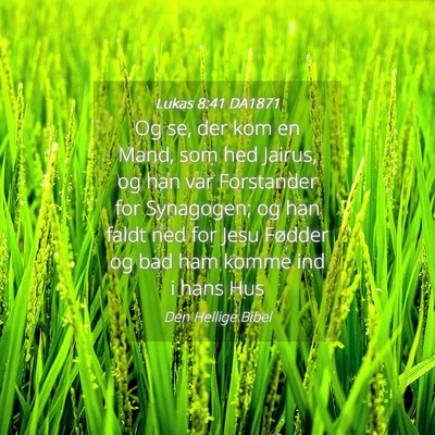Picture 04 - Lukas 8:41 DA1871 - Og se, der kom en Mand, som hed Jairus, og han - Bible Verse Picture