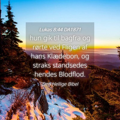 Picture 04 - Lukas 8:44 DA1871 - hun gik til bagfra og rørte ved Fligen af hans - Bible Verse Picture