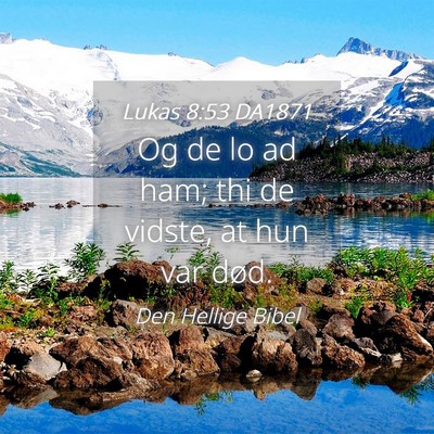 Picture 04 - Lukas 8:53 DA1871 - Og de lo ad ham; thi de vidste, at hun var - Bible Verse Picture