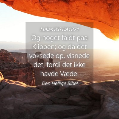 Picture 04 - Lukas 8:6 DA1871 - Og noget faldt paa Klippen; og da det voksede op, - Bible Verse Picture
