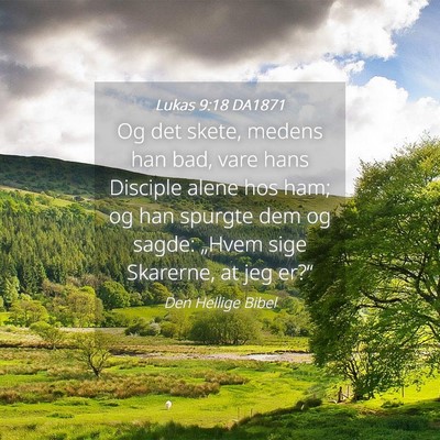Picture 04 - Lukas 9:18 DA1871 - Og det skete, medens han bad, vare hans Disciple - Bible Verse Picture